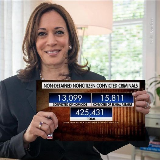 Kamala Border Czar Failure Blank Meme Template