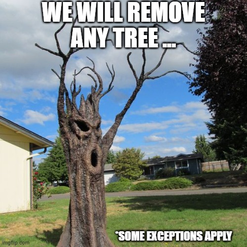 WE WILL REMOVE ANY TREE ... *SOME EXCEPTIONS APPLY | made w/ Imgflip meme maker