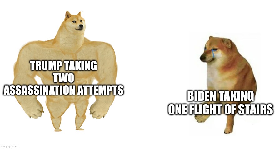 Buff Doge vs Crying Cheems | TRUMP TAKING TWO ASSASSINATION ATTEMPTS; BIDEN TAKING ONE FLIGHT OF STAIRS | image tagged in buff doge vs crying cheems | made w/ Imgflip meme maker