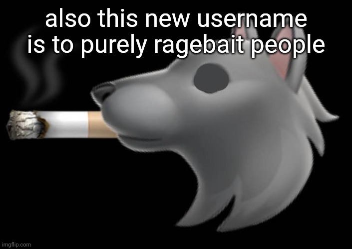 epic fucking wolf smoking a cigar | also this new username is to purely ragebait people | image tagged in epic fucking wolf smoking a cigar | made w/ Imgflip meme maker