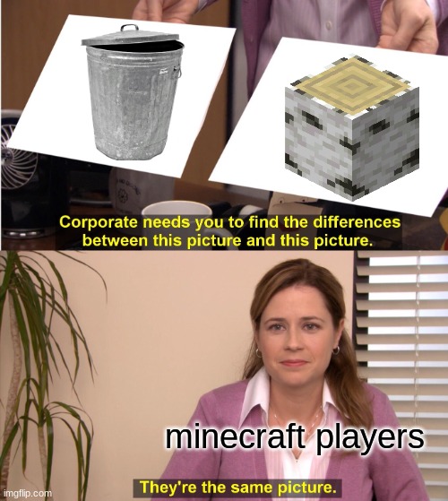 i had to use birch for my house because i spawned in a birch forest | minecraft players | image tagged in memes,they're the same picture | made w/ Imgflip meme maker