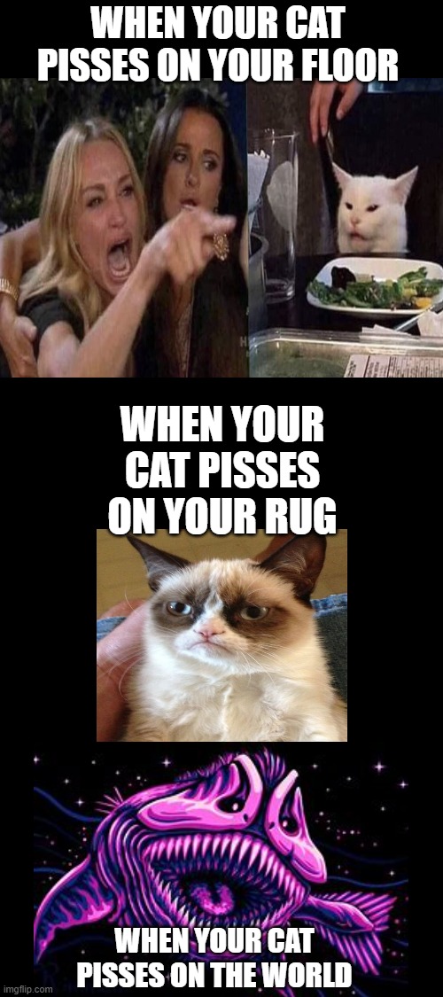 When your cat pisses on... | WHEN YOUR CAT PISSES ON YOUR FLOOR; WHEN YOUR CAT PISSES ON YOUR RUG; WHEN YOUR CAT PISSES ON THE WORLD | image tagged in cats | made w/ Imgflip meme maker