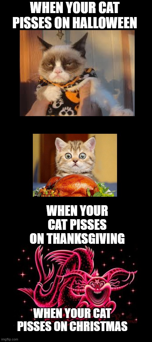 When your cat pisses on the holidays | WHEN YOUR CAT PISSES ON HALLOWEEN; WHEN YOUR CAT PISSES ON THANKSGIVING; WHEN YOUR CAT PISSES ON CHRISTMAS | image tagged in cats | made w/ Imgflip meme maker