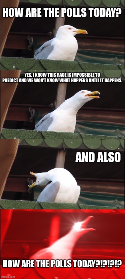 Polls are like fries on the boardwalk right now, they are not good for me and I NEED them | HOW ARE THE POLLS TODAY? YES, I KNOW THIS RACE IS IMPOSSIBLE TO PREDICT AND WE WON’T KNOW WHAT HAPPENS UNTIL IT HAPPENS. AND ALSO; HOW ARE THE POLLS TODAY?!?!?!? | image tagged in memes,inhaling seagull | made w/ Imgflip meme maker