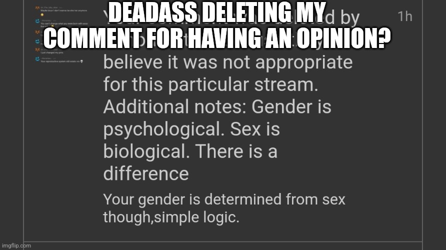 Yall were right.Some lgbt mods be sensitive af | DEADASS DELETING MY COMMENT FOR HAVING AN OPINION? | made w/ Imgflip meme maker