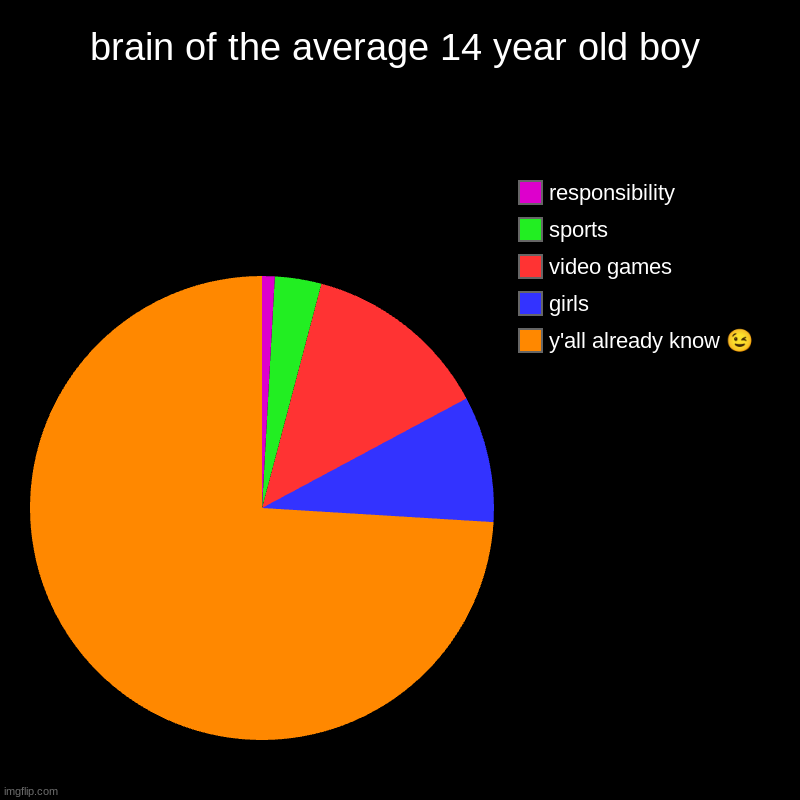 wink wink | brain of the average 14 year old boy | y'all already know ?, girls, video games, sports, responsibility | image tagged in charts,pie charts,relatable,boys,memes,funny memes | made w/ Imgflip chart maker