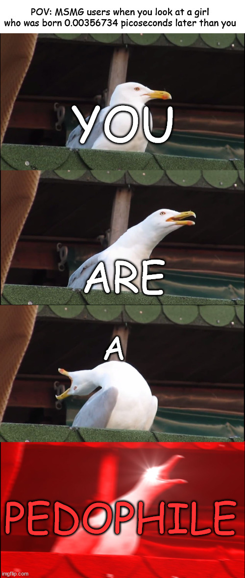 MSMG slander x^3y+y^2-x^2=5 Find the value of ‍ dy/dx  at the point ‍ (2,1). | POV: MSMG users when you look at a girl who was born 0.00356734 picoseconds later than you; YOU; ARE; A; PEDOPHILE | image tagged in blank white template,memes,inhaling seagull,slander,pedophilia | made w/ Imgflip meme maker