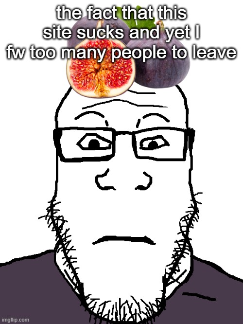 Figjak | the fact that this site sucks and yet I fw too many people to leave | image tagged in figjak | made w/ Imgflip meme maker