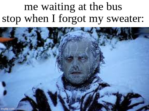 i got the idea from this morning who knew fall could be so cold | me waiting at the bus stop when I forgot my sweater: | image tagged in cold,weather,fall | made w/ Imgflip meme maker