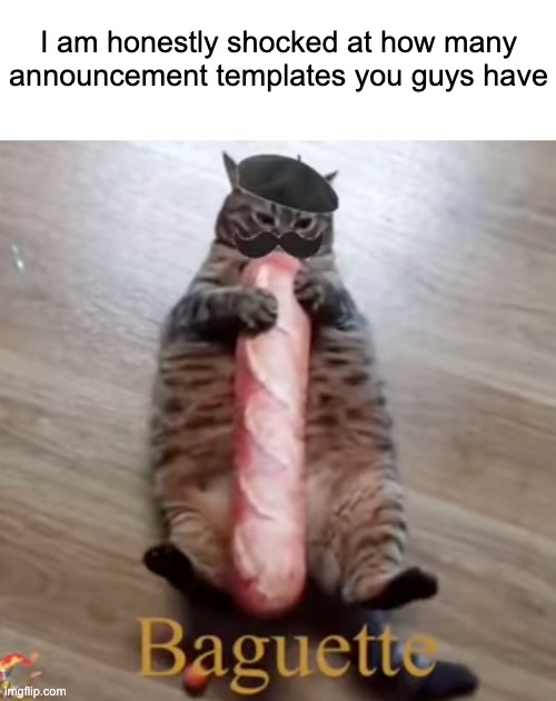 Baguette Cat | I am honestly shocked at how many announcement templates you guys have | image tagged in baguette cat | made w/ Imgflip meme maker