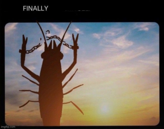 I CAN FINALLY KRILL MYSELF | image tagged in i can finally krill myself | made w/ Imgflip meme maker