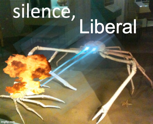 Silence Crab | Liberal | image tagged in silence crab | made w/ Imgflip meme maker