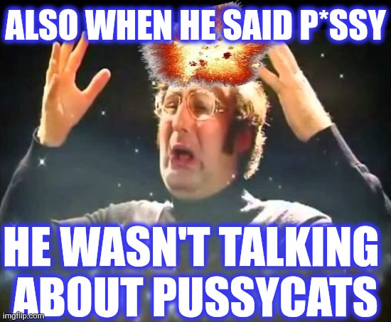 Mind Blown | ALSO WHEN HE SAID P*SSY HE WASN'T TALKING 
ABOUT PUSSYCATS | image tagged in mind blown | made w/ Imgflip meme maker