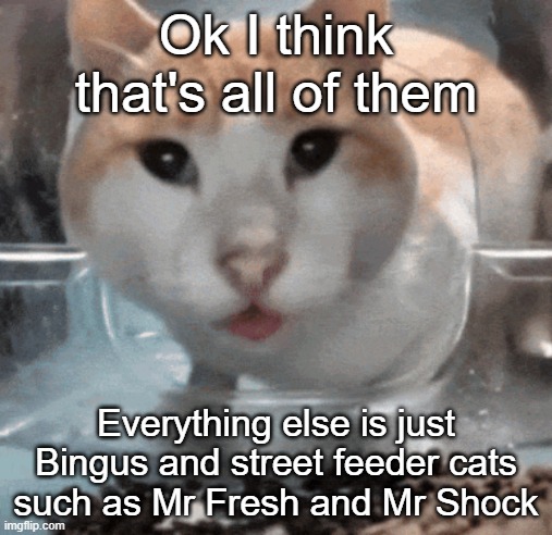 Mr Shock stare | Ok I think that's all of them; Everything else is just Bingus and street feeder cats such as Mr Fresh and Mr Shock | image tagged in mr shock stare | made w/ Imgflip meme maker