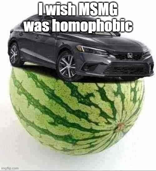 CivicMelon | I wish MSMG was homophobic | image tagged in civicmelon | made w/ Imgflip meme maker