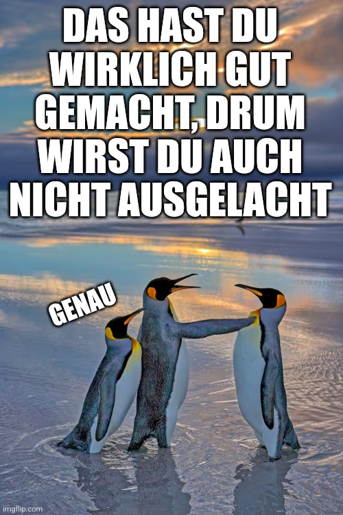 Wirklich gut gemacht | DAS HAST DU 
WIRKLICH GUT 
GEMACHT, DRUM 
WIRST DU AUCH 
NICHT AUSGELACHT; GENAU | image tagged in pingu | made w/ Imgflip meme maker