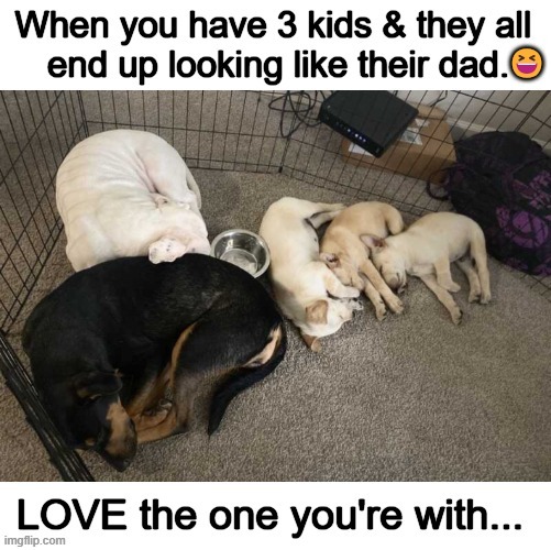 Love The One You're With... | image tagged in it's not all about looks,character,integrity,love,soul,commonality | made w/ Imgflip meme maker