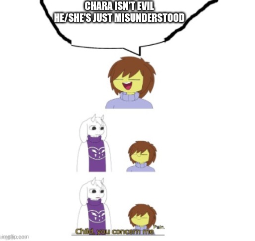 hehe boi | CHARA ISN'T EVIL HE/SHE'S JUST MISUNDERSTOOD | image tagged in frisk child you concern me | made w/ Imgflip meme maker