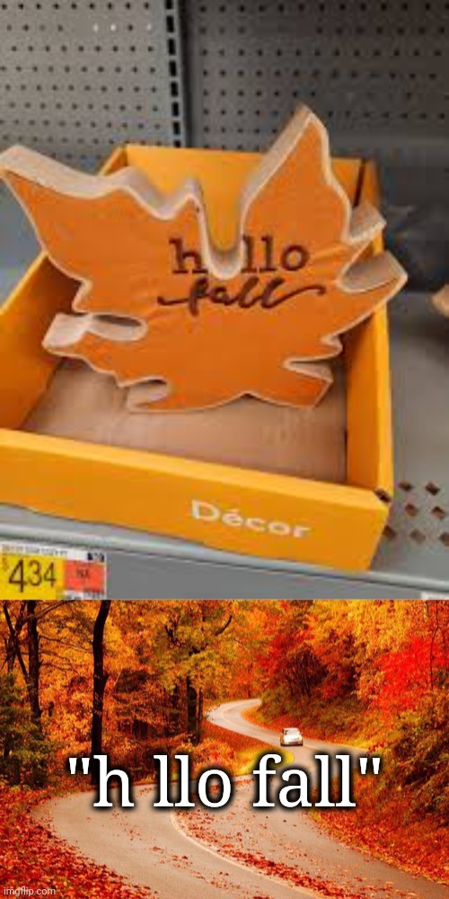 H llo fall | "h llo fall" | image tagged in autumn road,fall,you had one job,leaves,leaf,memes | made w/ Imgflip meme maker