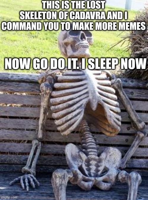 you heard we need to keep making more memes | THIS IS THE LOST SKELETON OF CADAVRA AND I COMMAND YOU TO MAKE MORE MEMES; NOW GO DO IT. I SLEEP NOW | image tagged in memes,waiting skeleton,funny | made w/ Imgflip meme maker