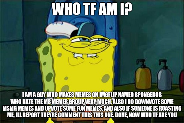 Don't You Squidward Meme | WHO TF AM I? I AM A GUY WHO MAKES MEMES ON IMGFLIP NAMED SPONGEBOB WHO HATE THE MS MEMER GROUP VERY MUCH, ALSO I DO DOWNVOTE SOME MSMG MEMES | image tagged in memes,don't you squidward | made w/ Imgflip meme maker