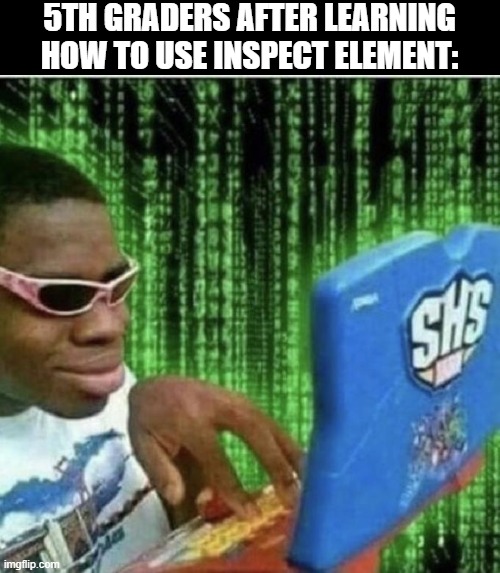 pro hacker | 5TH GRADERS AFTER LEARNING HOW TO USE INSPECT ELEMENT: | image tagged in ryan beckford | made w/ Imgflip meme maker