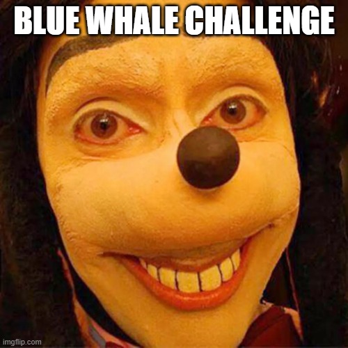 blue whale challenge | BLUE WHALE CHALLENGE | image tagged in blue whale challenge | made w/ Imgflip meme maker