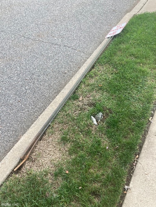 I think someone tried parking lmao | made w/ Imgflip meme maker