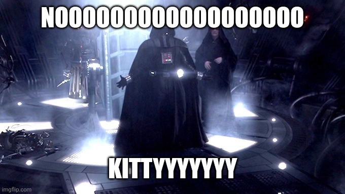 Darth Vader No | NOOOOOOOOOOOOOOOOOO KITTYYYYYYY | image tagged in darth vader no | made w/ Imgflip meme maker