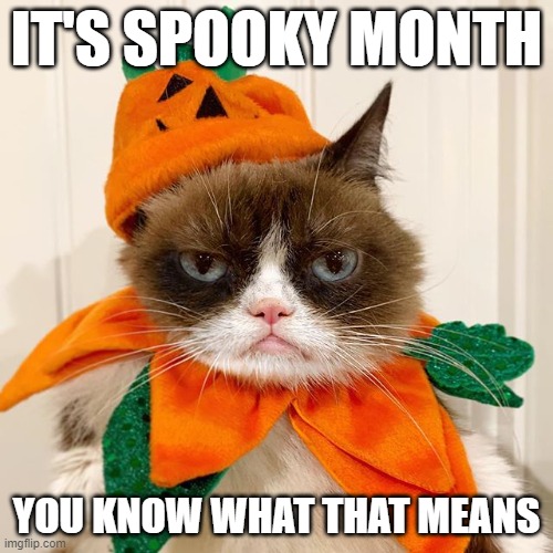 Spooky Month is here | IT'S SPOOKY MONTH; YOU KNOW WHAT THAT MEANS | image tagged in grumpy cat halloween | made w/ Imgflip meme maker