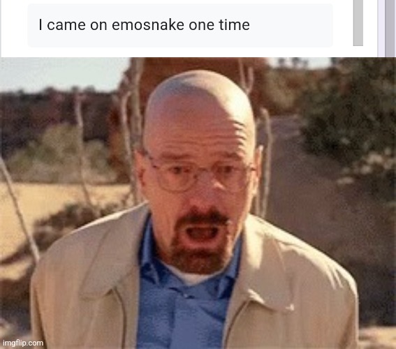 image tagged in walter white | made w/ Imgflip meme maker