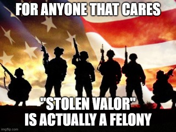 veterans day | FOR ANYONE THAT CARES "STOLEN VALOR" IS ACTUALLY A FELONY | image tagged in veterans day | made w/ Imgflip meme maker