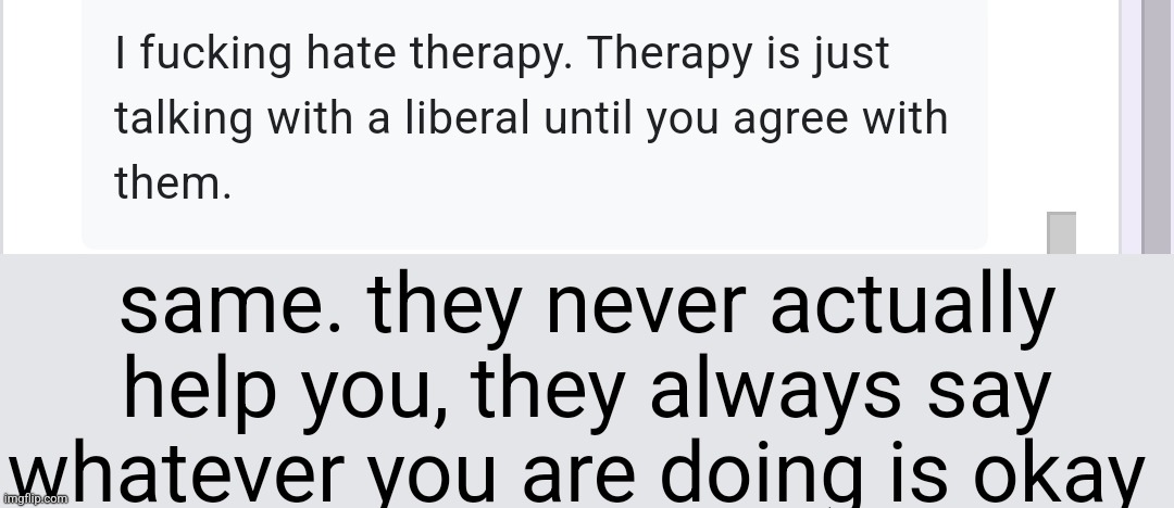 same. they never actually help you, they always say whatever you are doing is okay | made w/ Imgflip meme maker