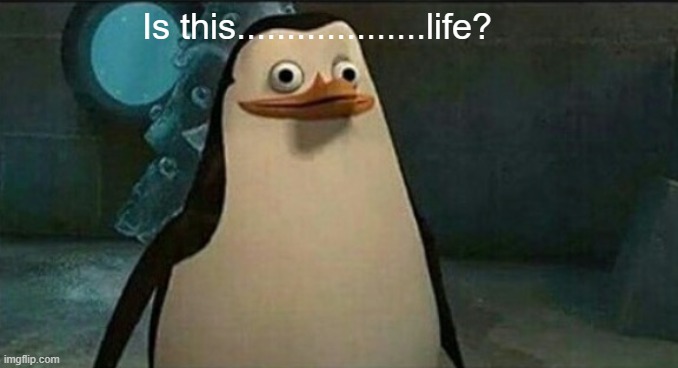 LIFE | Is this...................life? | image tagged in confused private penguin | made w/ Imgflip meme maker