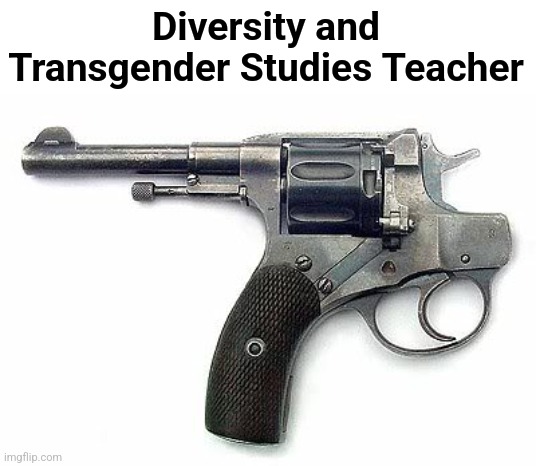 Diversity and Transgender Studies Teacher | image tagged in backwards gun | made w/ Imgflip meme maker