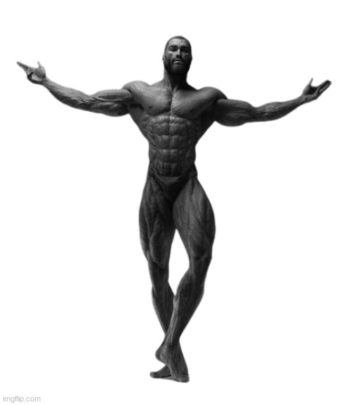 Gigachad arms spread | image tagged in gigachad arms spread | made w/ Imgflip meme maker