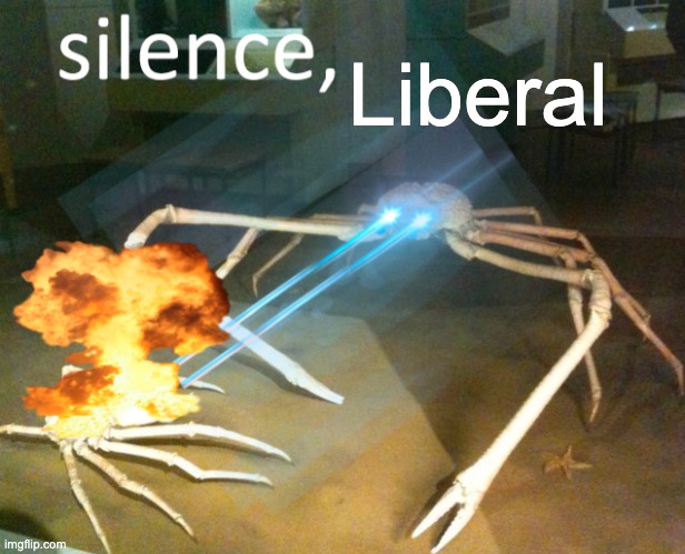 Silence Crab | Liberal | image tagged in silence crab | made w/ Imgflip meme maker