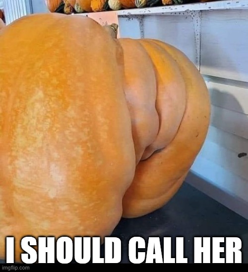 Sexy Pumpkin | I SHOULD CALL HER | image tagged in sex jokes | made w/ Imgflip meme maker