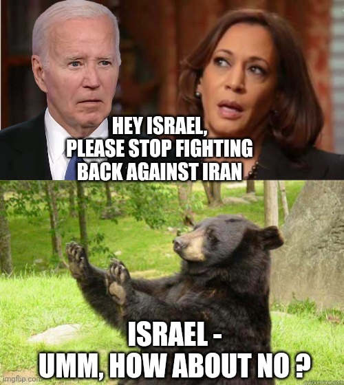 Go F Yourself | HEY ISRAEL,
PLEASE STOP FIGHTING BACK AGAINST IRAN; ISRAEL -
UMM, HOW ABOUT NO ? | image tagged in kamala harris,how about no bear,leftists,liberals,democrats | made w/ Imgflip meme maker