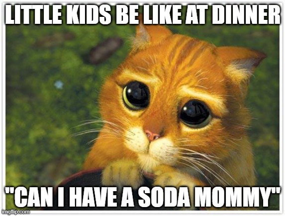 Every Little Kid | LITTLE KIDS BE LIKE AT DINNER; "CAN I HAVE A SODA MOMMY" | image tagged in memes,shrek cat | made w/ Imgflip meme maker