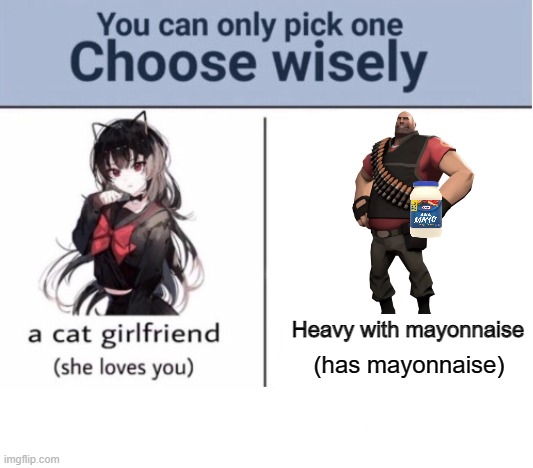 Choose wisely | Heavy with mayonnaise; (has mayonnaise) | image tagged in choose wisely | made w/ Imgflip meme maker