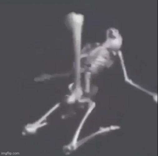 Skeleton boner | image tagged in skeleton boner | made w/ Imgflip meme maker