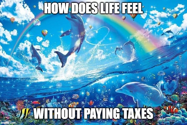 tax | HOW DOES LIFE FEEL; WITHOUT PAYING TAXES | image tagged in happy dolphin rainbow | made w/ Imgflip meme maker