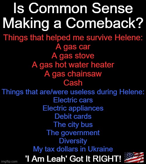 Electric stuff isn't useless.........if you have a gas generator.  Dr. Benjamin Linus | Is Common Sense; Making a Comeback? Things that helped me survive Helene:
A gas car
A gas stove
A gas hot water heater
A gas chainsaw
Cash; Things that are/were useless during Helene:
Electric cars
Electric appliances
Debit cards
The city bus
The government
Diversity
My tax dollars in Ukraine; 'I Am Leah' Got It RIGHT! | image tagged in helene,survival,common sense,conservative logic,liberals vs conservatives,big government | made w/ Imgflip meme maker