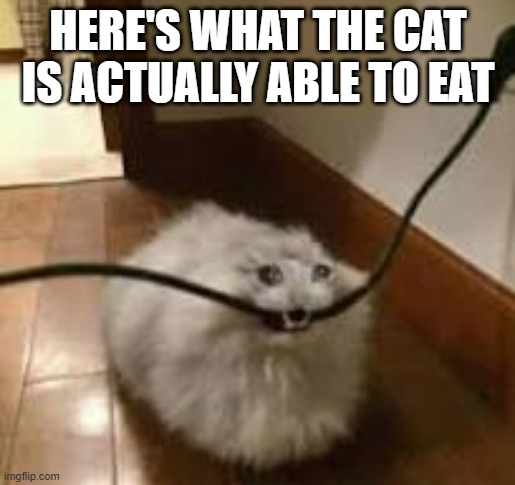 HERE'S WHAT THE CAT IS ACTUALLY ABLE TO EAT | image tagged in sad cat eating cord | made w/ Imgflip meme maker