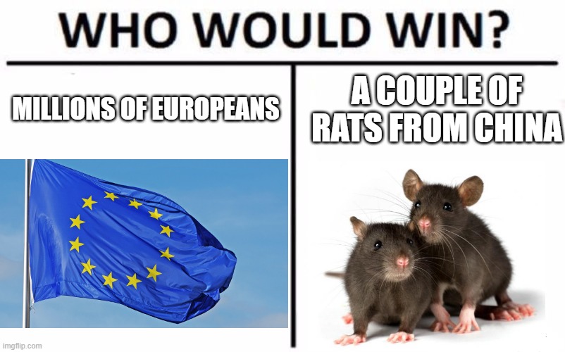 And They Called It a Plague | MILLIONS OF EUROPEANS; A COUPLE OF RATS FROM CHINA | image tagged in memes,who would win | made w/ Imgflip meme maker