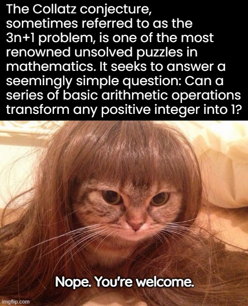 I did all the maths | The Collatz conjecture, sometimes referred to as the 3n+1 problem, is one of the most renowned unsolved puzzles in mathematics. It seeks to answer a seemingly simple question: Can a series of basic arithmetic operations transform any positive integer into 1? Nope. You're welcome. | image tagged in funny memes,math,collatz conjecture | made w/ Imgflip meme maker