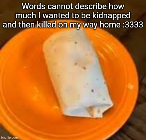 JimmyHere Burrito | Words cannot describe how much I wanted to be kidnapped and then killed on my way home :3333 | image tagged in jimmyhere burrito | made w/ Imgflip meme maker