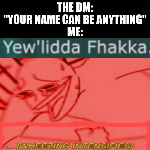 Did you get it? It's something you would say to someone who is infuriating. | THE DM: "YOUR NAME CAN BE ANYTHING"
ME: | image tagged in funny,dnd | made w/ Imgflip meme maker