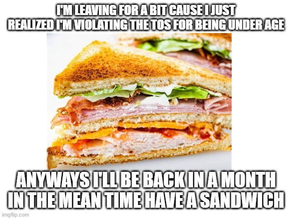 I'm leaving | I'M LEAVING FOR A BIT CAUSE I JUST REALIZED I'M VIOLATING THE TOS FOR BEING UNDER AGE; ANYWAYS I'LL BE BACK IN A MONTH
IN THE MEAN TIME HAVE A SANDWICH | image tagged in fun | made w/ Imgflip meme maker